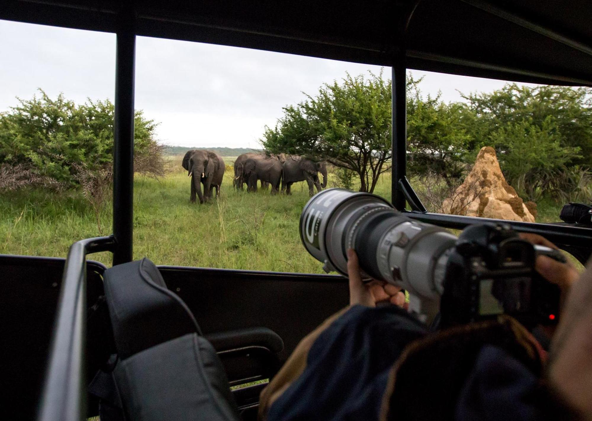 Royal Thonga Safari Lodge Sihangwane Экстерьер фото