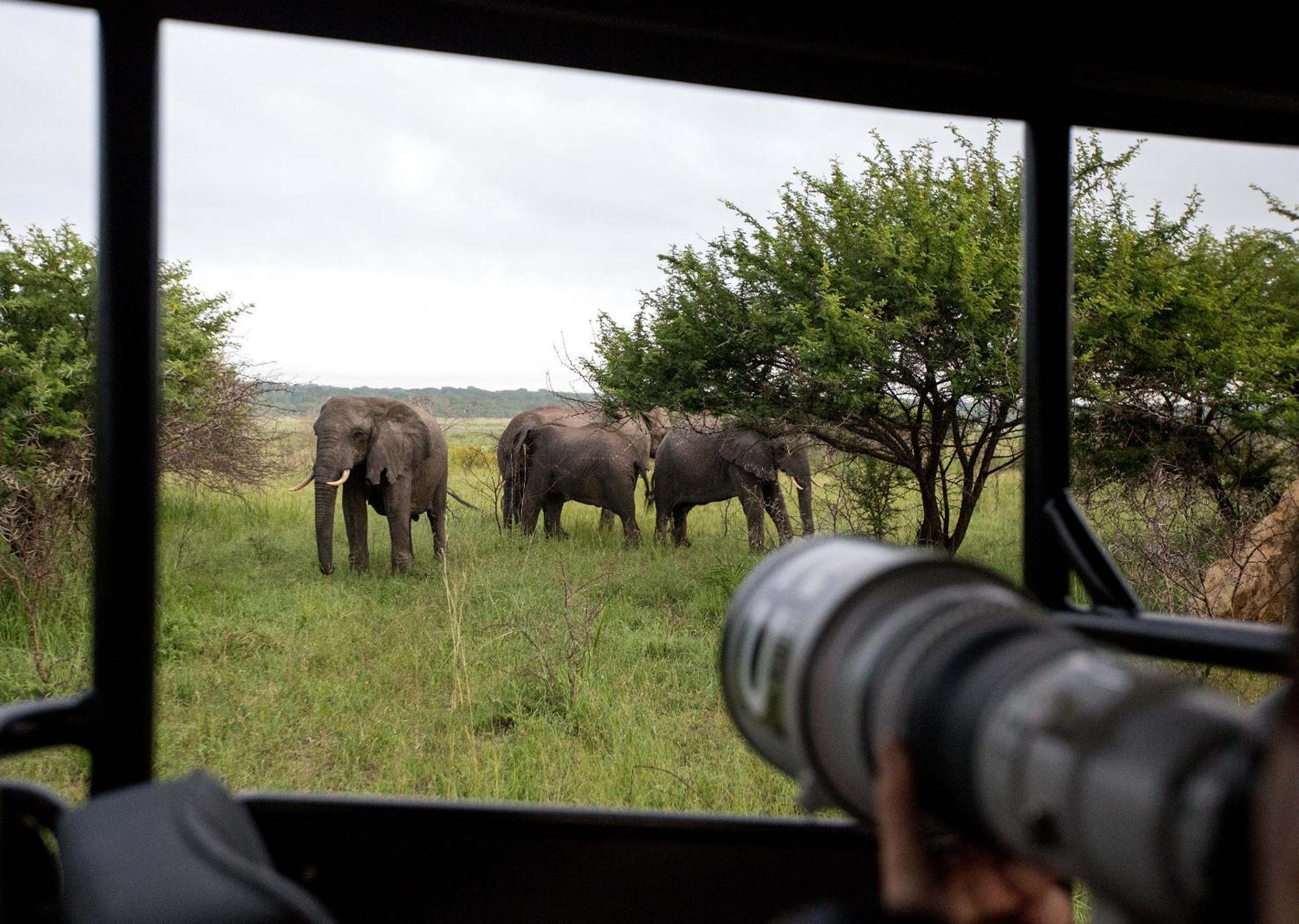 Royal Thonga Safari Lodge Sihangwane Экстерьер фото